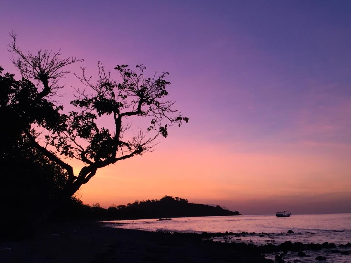 Kalyssa Beach Bungalows Pemuteran  Ngoại thất bức ảnh